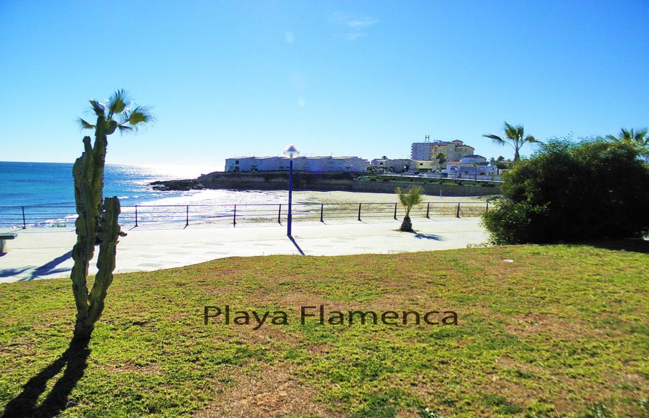 Apartment With Large Roof Solarium Dehesa de Campoamor  Exteriör bild